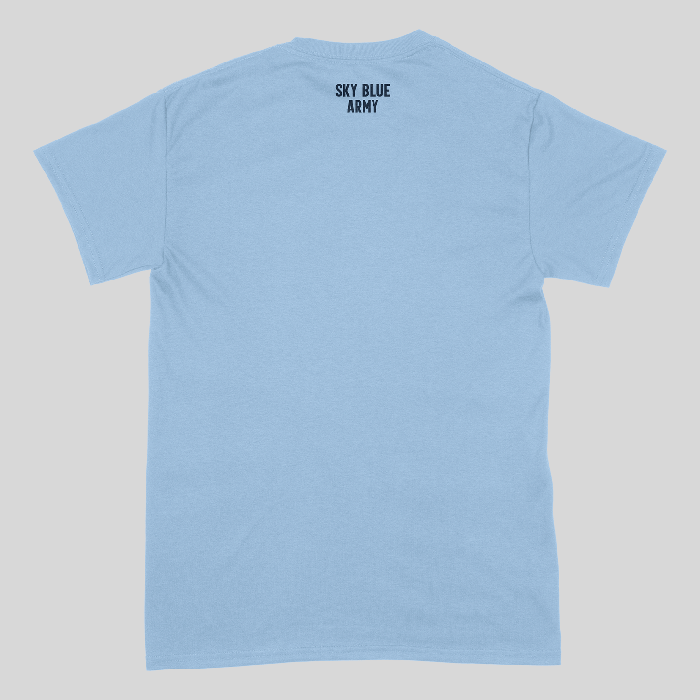 *PRE-ORDER* / WE ARE BACK - TSHIRT